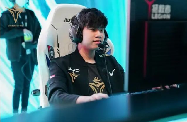 的阅历和胆 的阅历和胆